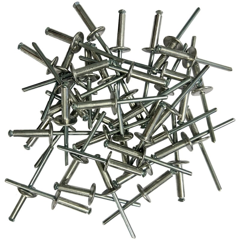 200 rivets eclateurs a tete extra large de 4.8 x 20