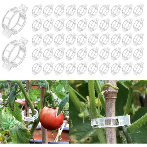 200 supports pour plantes grimpantes, supports pour plants de tomates, clips de fixation en plastique, adaptés pour kl.