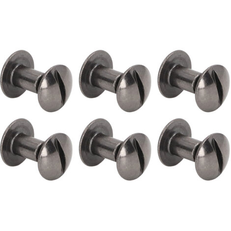 200 Vis à Reliure Laiton avec Revêtement Électrolytique, Assortiment de Vis Chicago pour Surfaces Courbes, Finition Uniforme en Argent Noir