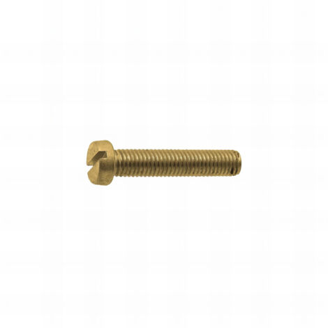 200 vis métaux tête cylindrique fendue laiton DIN85 5.0 x 10 mm