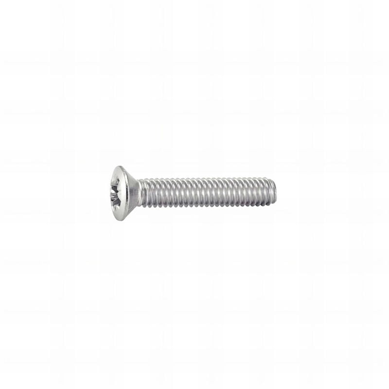 Rotofor - 200 vis métaux tête fraisée bombée pozidriv DIN966 A2 5.0 x 20