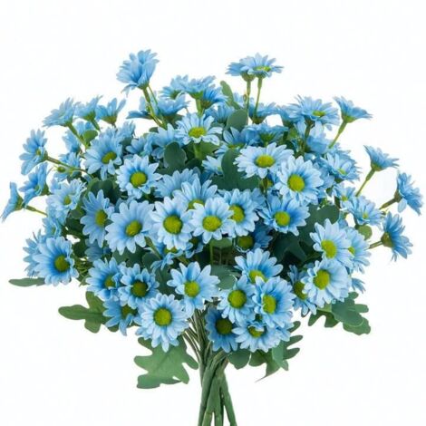 2000 graines de marguerites bleues, graines de fleurs, naturellement parfumées, plantes ornementales de jardin, engrais inclus.