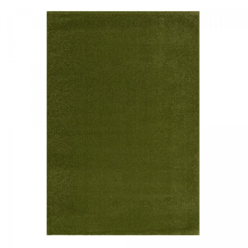 Jadorel - Tapis salon et chambre 160x230 vert rectangle tissé motif uni nossa