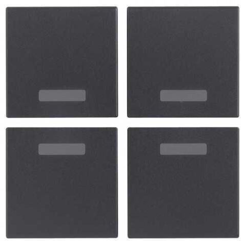 20841 Cuatro Teclas Neutras 1M Gris Eikon