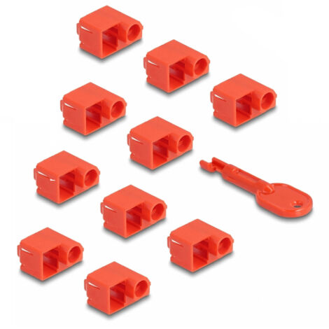 20929 DeLock Lot de 10 bloqueurs de fiches RJ45 - Lot de 10 bloqueurs de fiches RJ45 avec clé de verrouillage