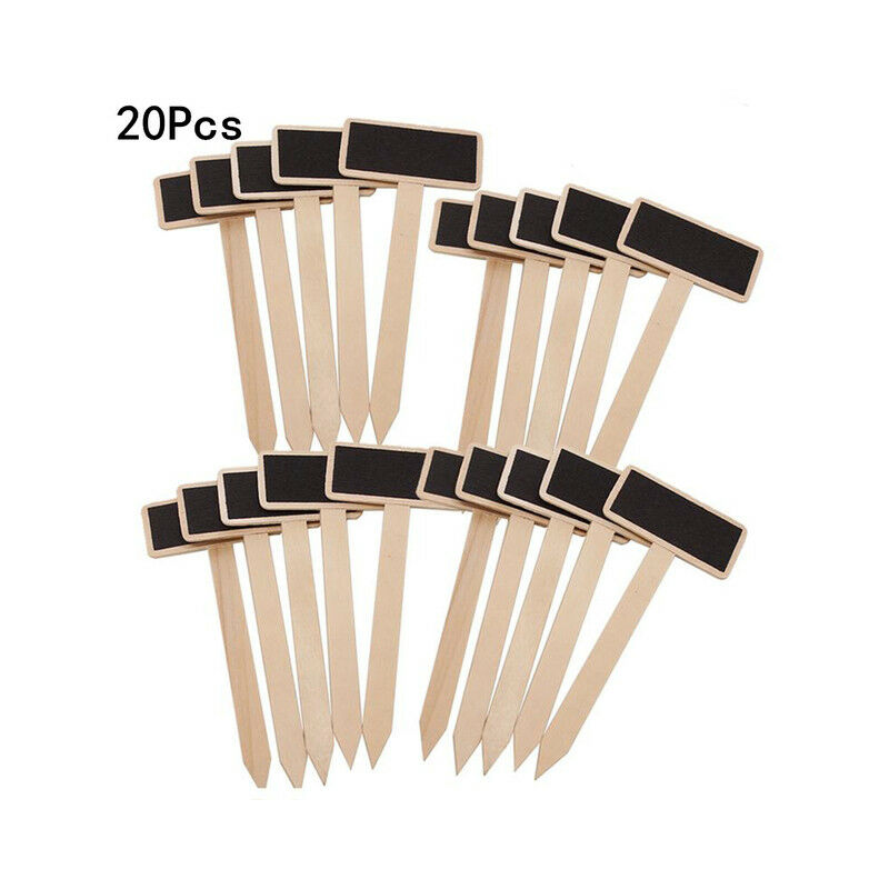 20Pcs lavagna creativa etichette per piante