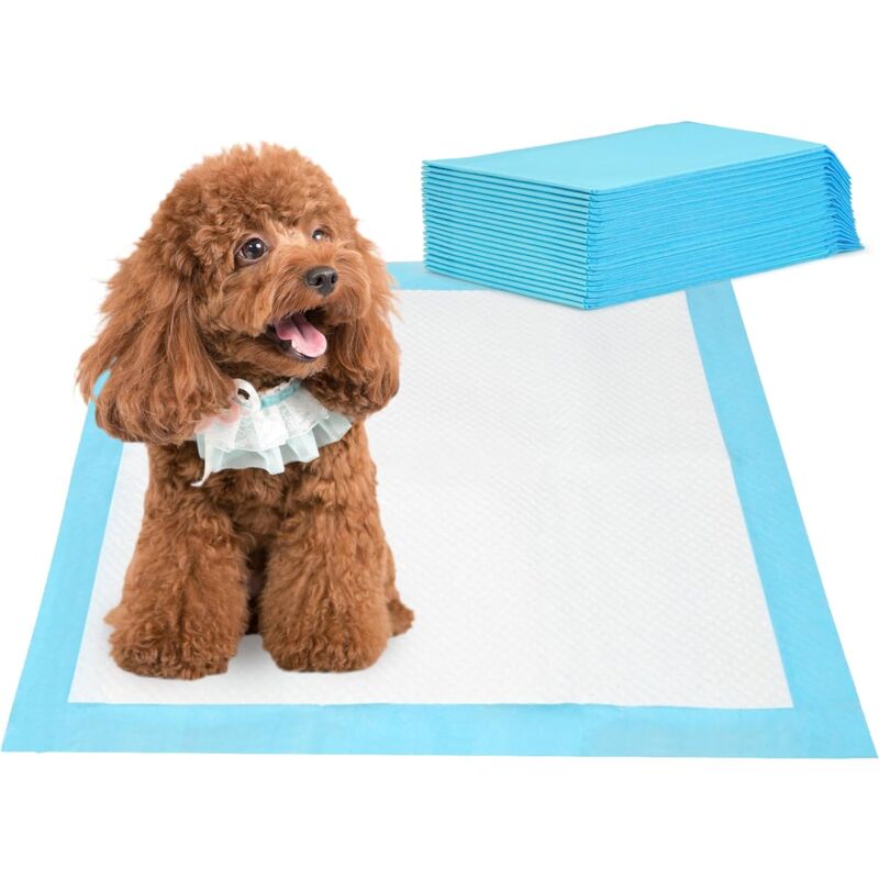 Houhence - 20Pcs Tapis Éducateurs Pour Apprentissage Tapis Educateur Chien, Respirant, Super Absorbant, Jetable Chiot Tapis De Protection Au Sol