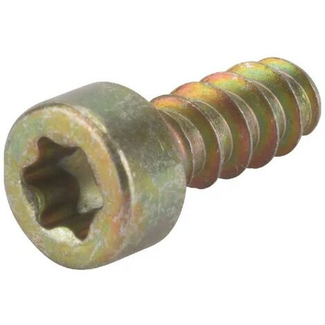 2123100 - Vis pour Tronçonneuse ALPINA