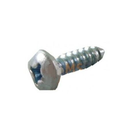 21437 - Vis Tôle B 4.2X13mm OUTILS WOLF