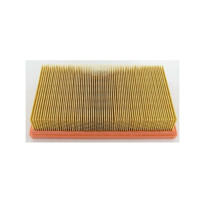 2175-164 - Filtre à Air Adaptable pour Moteur LOMBARDINI