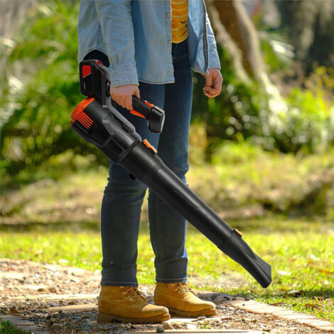 21V Cordless Handheld Leaf Blower with Battery and Charger