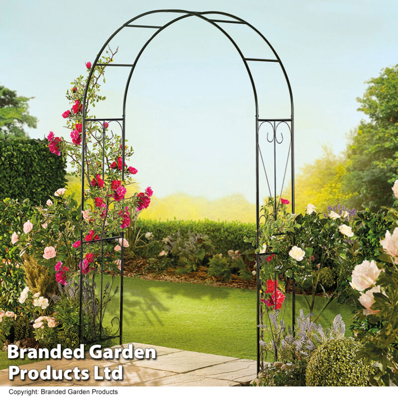 Thompson&morgan - 2.2 Metre Metal Garden Arch Swirl Design Outdoor Decorative Floral Plant Support