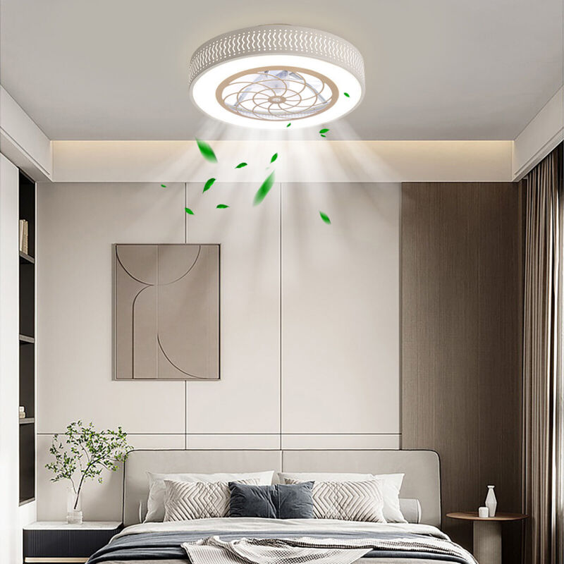220V moderne Smart LED plafonnier ventilateur ventilateur de plafond avec Lampe