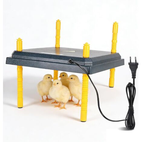 22W Chick Heating Plate, 31 x 31 cm Chick Heating Panel, Adjustable Height