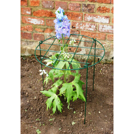 24 Inches Conical Plant Support (Pack of 4) - Steel - L17.7 x W17.7 x H60.9 cm - Green