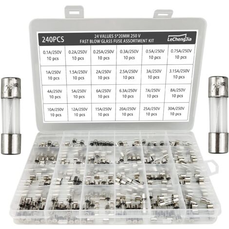 24 Valeurs 240 pcs Kit d'assortiment de Fusibles à action lente 5x20mm 250V 0.1/0.2/0.25/0.3/0.5/0.75/1/1.5/2/2.5/3/3.15/4/5/6/6.3/7/8/10/12/15/20/25/30A -boîte en plastique transparente