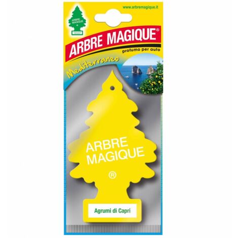 24 x ARBRE MAGIQUE MEDITERRANEO CAPRI