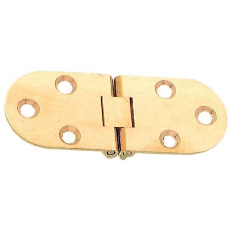 24 x charnière biscuit w/brass loquet s.