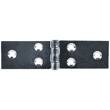 24PZ CERNIERA ALI LUNGHE ART.122 mm 29 x  100
