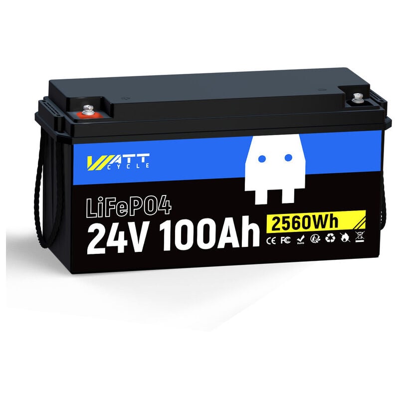 24V 100AhBatterie Lithium LiFePO4 Max. 2560 Wh bms 100 a intégré cellules Eve a+ Protection Contre Les Basses températures efficacité de Sortie Plus