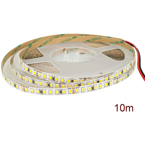 24V Bobina Striscia Led Da 10 Metri IP20 6000K 12W/M 1600 smd 2835 2000 LM/M Passo 8mm