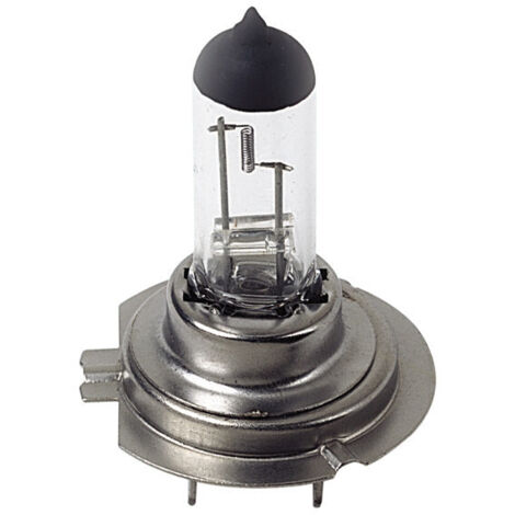 24V Lampada alogena Pro - H7 - 70W - PX26d - 1 pz  - Scatola