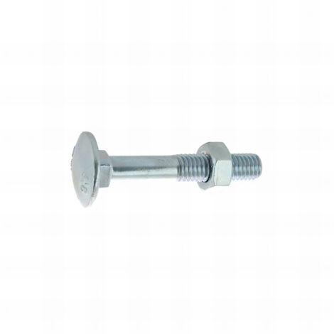 25 Boulons tête ronde collet carré DIN603/555 acier zingués blanc diamètre 12,0 mm - Longueur 120 mm