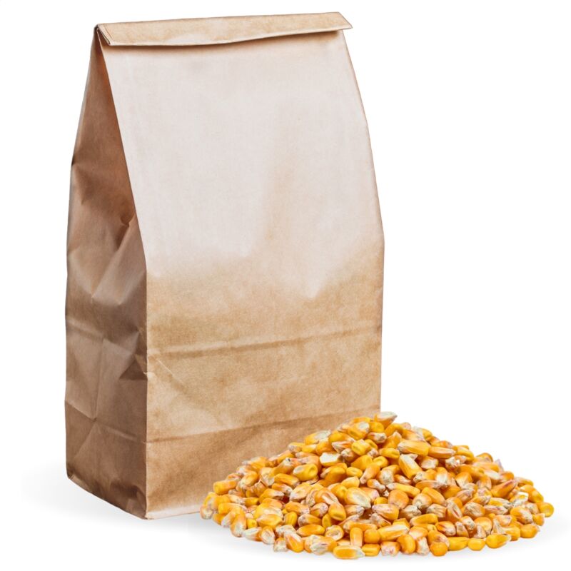 10 kg de maïs fourrager Lyra Pet de qualité maïs-grain fourrager