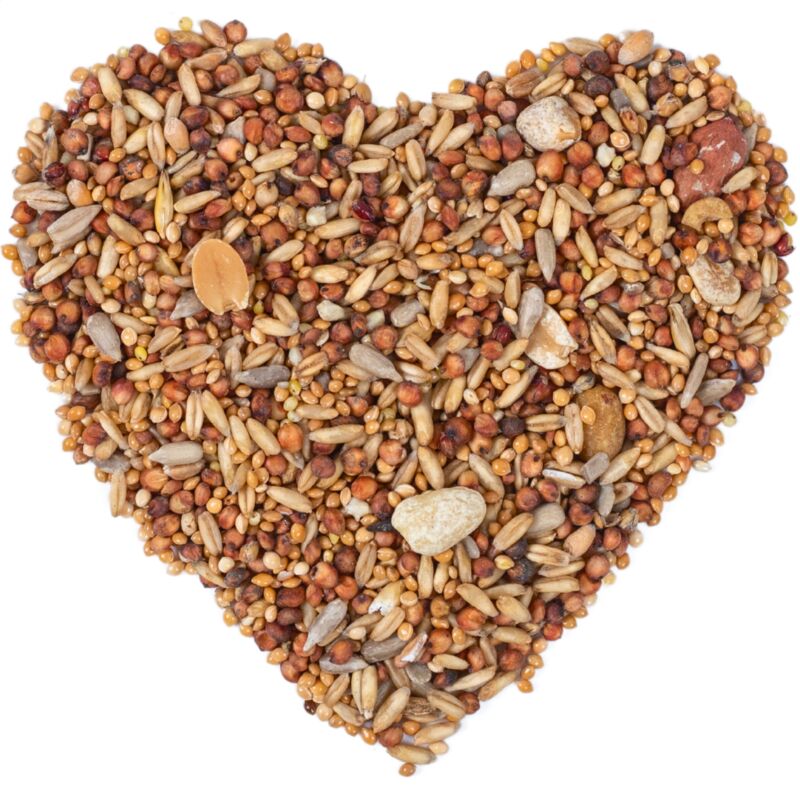 Lyra Pet - 10 kg de ® nourriture en litière sans coquille hk Pologne