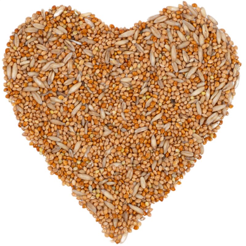 Lyra Pet - 25 kg de nourriture pour perruches ®