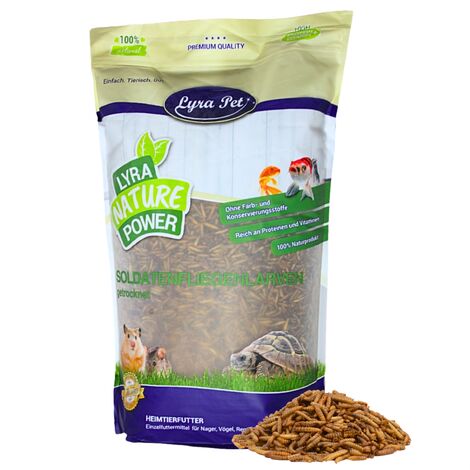 5 - 25 kg Lyra Pet® Soldatenfliegenlarven