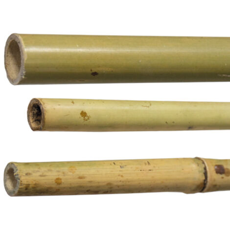25 PZ CANNE CANNA DI BAMBOO PALI PALETTI TUTORE H.210 CM SPESSORE Ø 24/26