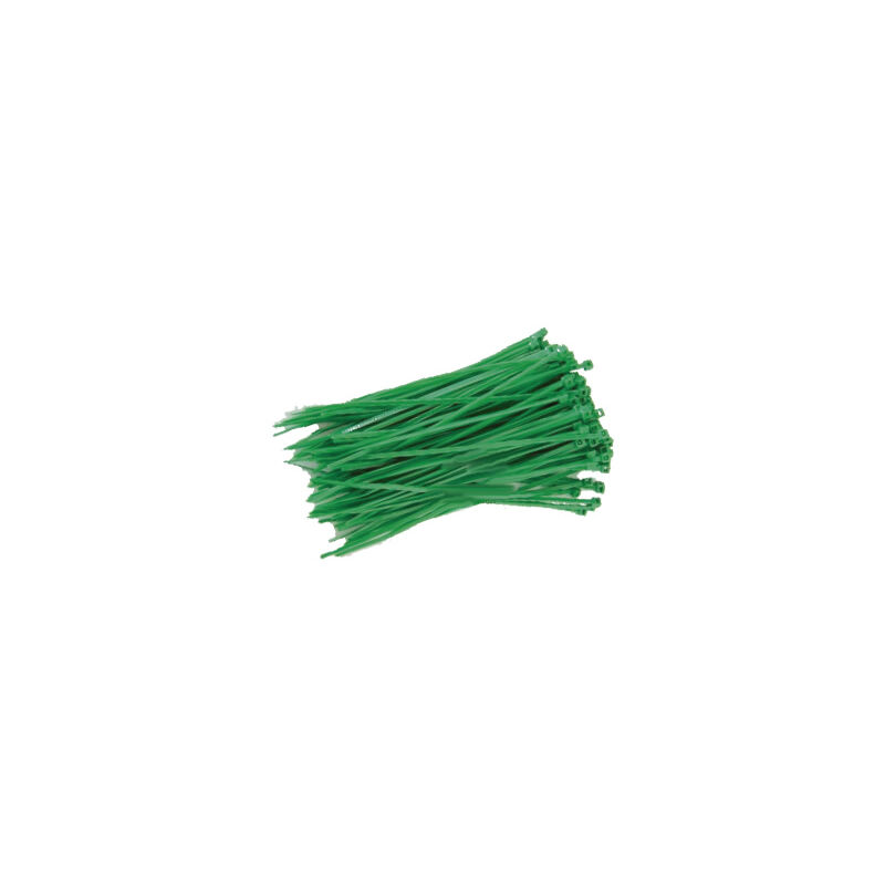 

Pack 25 Unidades Bridas 300x4.8mm Verde 000901367 - GSC