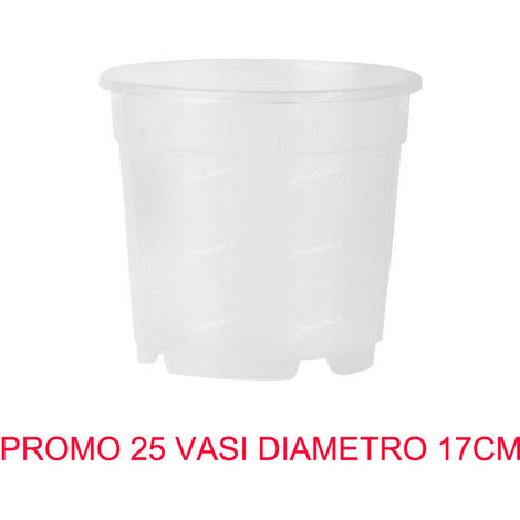 Vaso orchidea trasparente