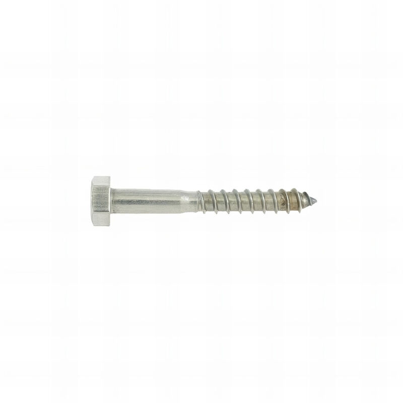 Rotofor - 25 Vis Bois tête hexagonale DIN571 inox A2 - diamètre de 10 mm - 40/24