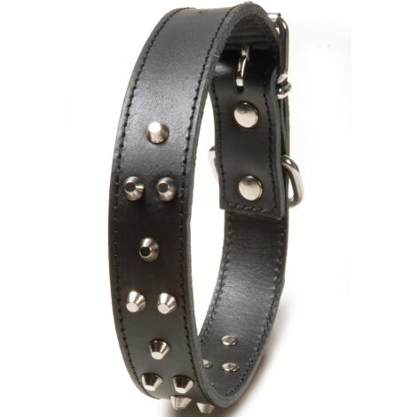 2,5 x 38,5-46 cm collare: Collare con borchie in pelle di vitello per cani