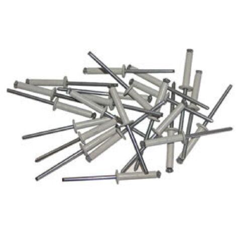 250 Rivets eclates 4x20 blancs