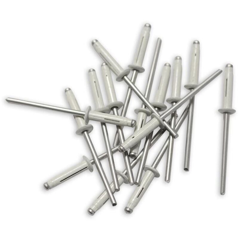 Oc-pro - 250 rivets trigrip de 4 x 20 blancs pour plaques mineralogiques