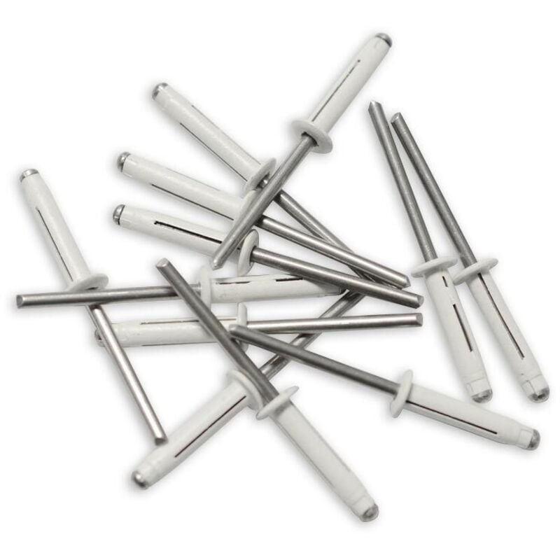 Oc-pro - 250 rivets trigrip de 4.8 x 22 blancs pour plaques mineralogiques