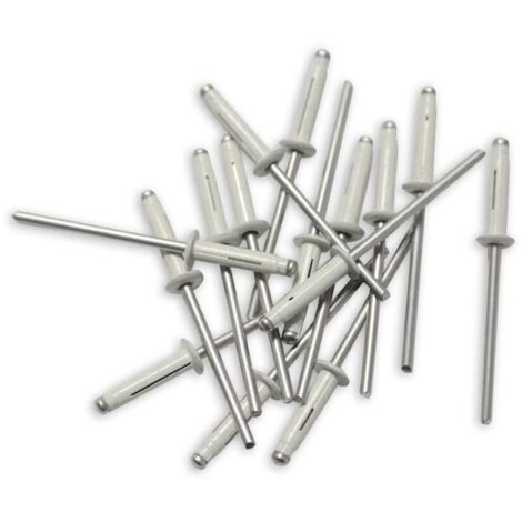 250 rivetti Trigrip bianchi 4 x 20 per targhe