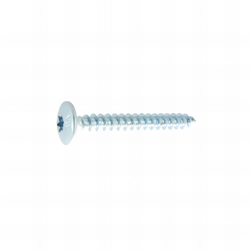 Rotofor - 250 Vis Penture Torx acier zingués blanc 5.0 x 30