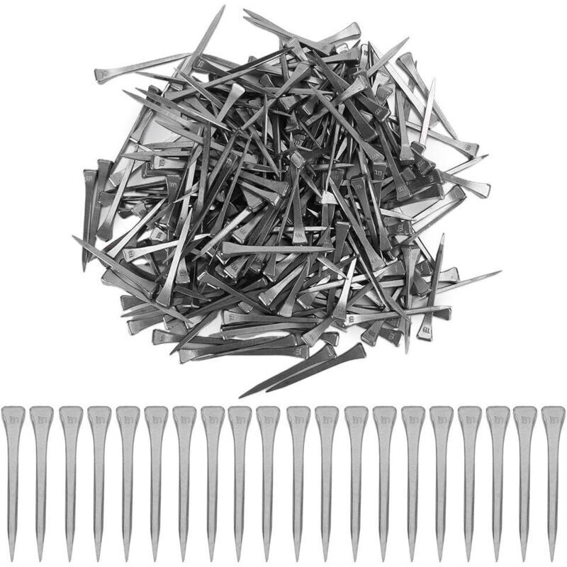 250pcs E6 Fer à Cheval Clous Stianless Acier Fer à Cheval Clou Cheval approvisionnement Outil Accessoires Beau Travail