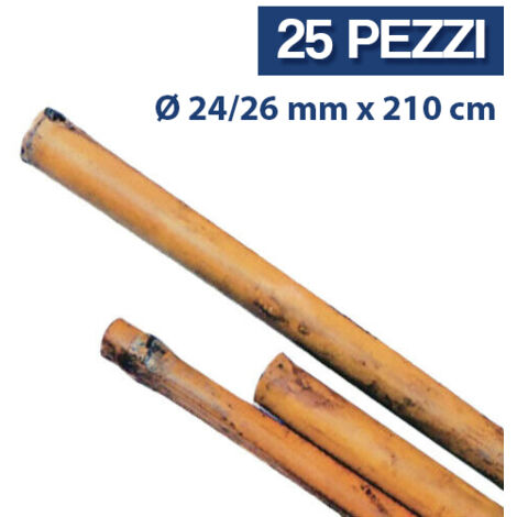 25PZ TUTORE CANNA BAMBOO SOSTEGNO PIANTE ORTAGGI H CM 210 D.MM 24/26 (24487/25)