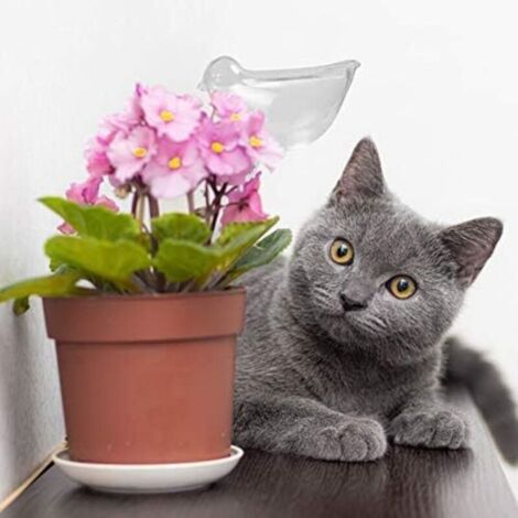 25x9cm 5 Pièces Grande Globes d'Arrosage Automatique, Boule d'Arrosage, Bulbes d'Arrosage Goutte à Goutte, Arrosage Plante Vacances pour Plantes
