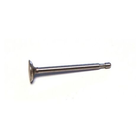 262228 - Soupape d'échappement pour moteur BRIGGS ET STRATTON