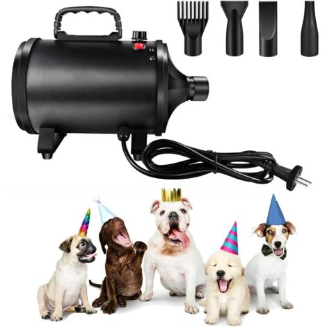 2800W Sèche-Cheveux pour Chien, Pulseur Chien silencieu, 2 vitesse: 50m/s et 100m/s, 2 Température: 35°c et 65°c, Souffleur pour Chien avec 4 Buses e Tuyau élastique
