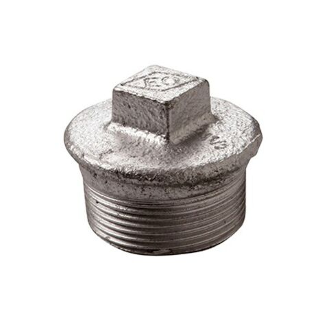 ECOLANDS 2"1/2 in ghisa zincata 29025009