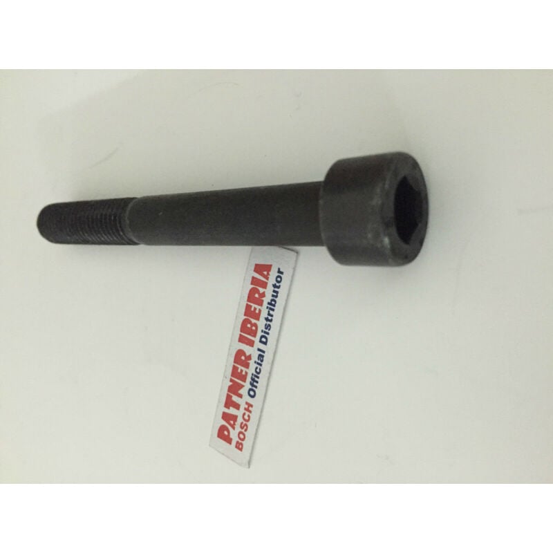

2910141262 Hex Socket Head Cap GSH 16-30 : Genuine BOSCH spare-part