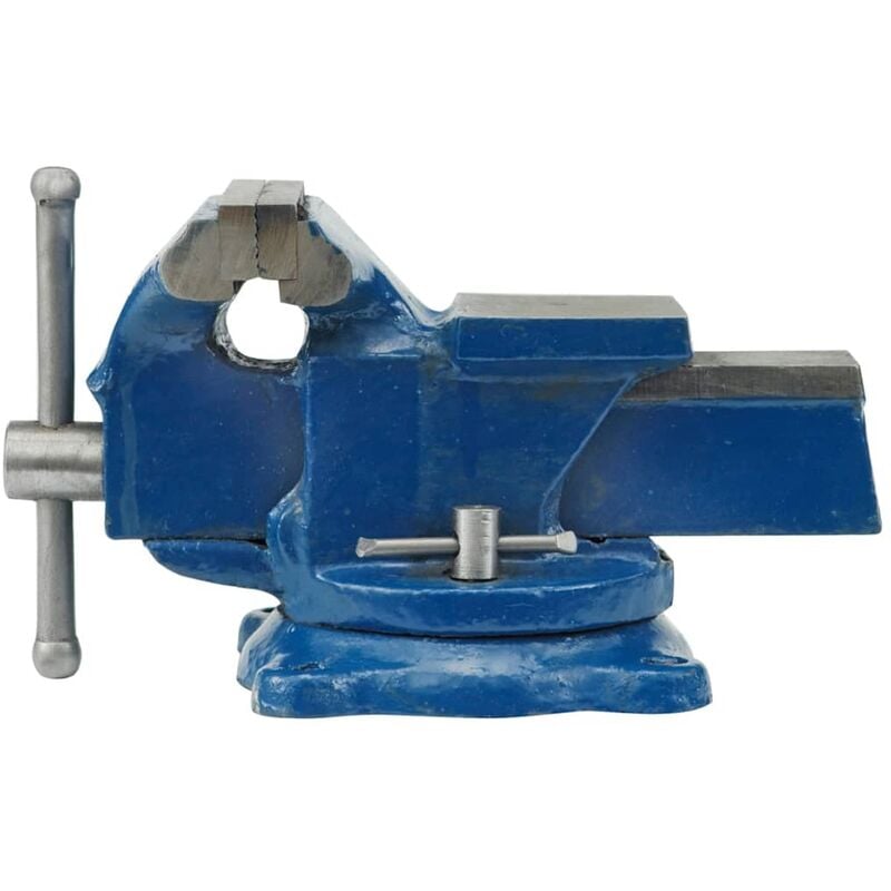

Mandíbula Abrazadera Bench Vice Base Giratoria 100 mm 36037 - Vorel