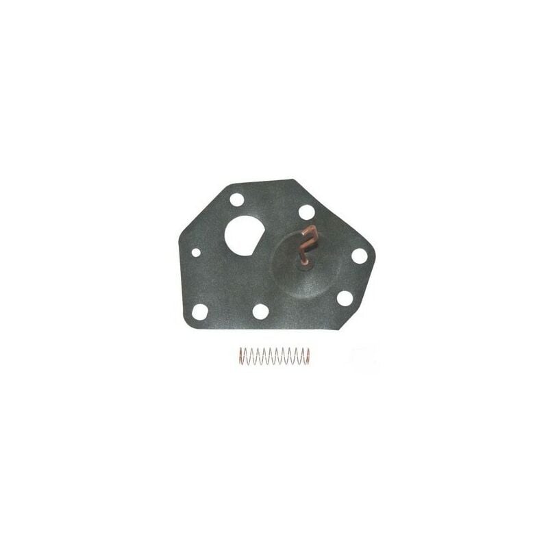 Briggs&stratton - 299637 - Membrane carburateur pour moteur briggs et stratton